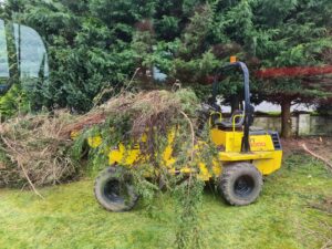 Essential Winter Jobs for Your Outdoor Spaces in Ireland