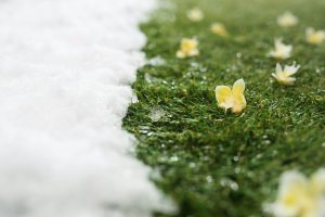 Looking After and Protecting Your Lawn and Bedding During the Winter Months