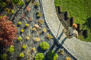 Landscaping and Ground Maintenance Trends for 2025